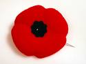 remembrance-day1