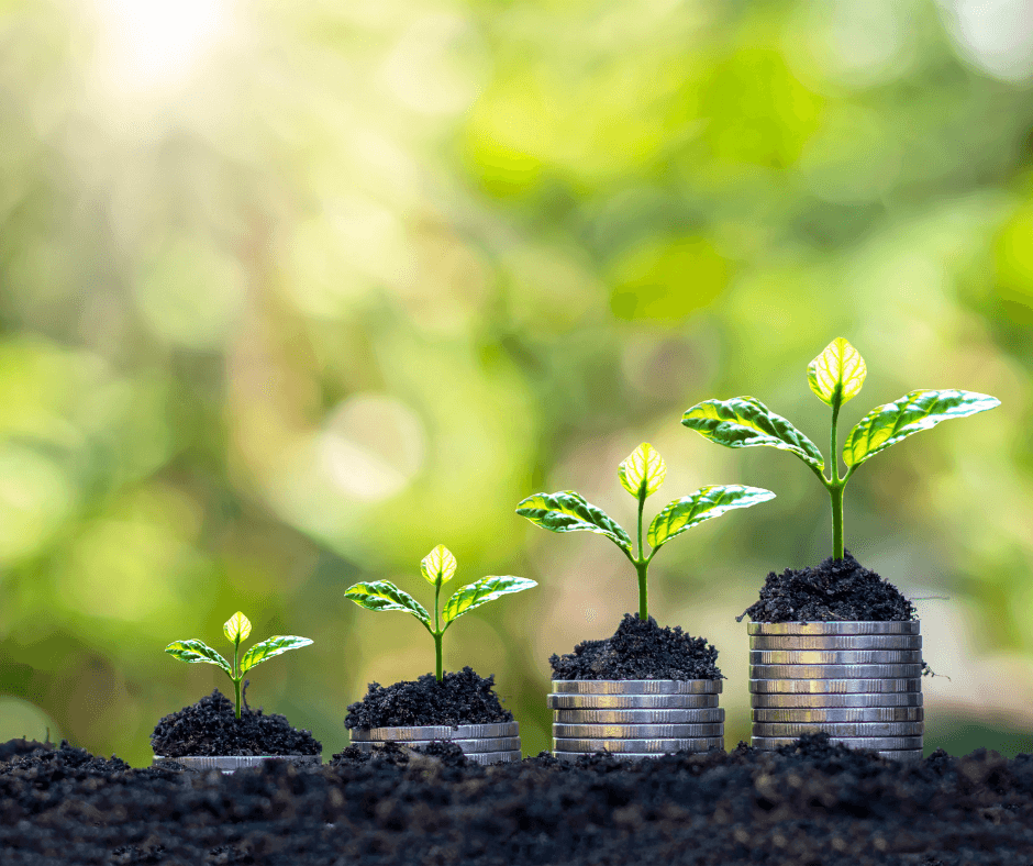 | PR In Canada Agency grew, agency account wins, plant growing